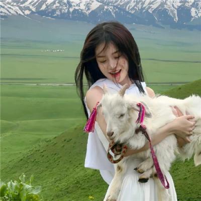 榕树头讲鬼国语